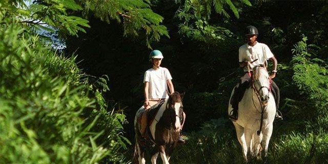 Secluded horse riding (2)